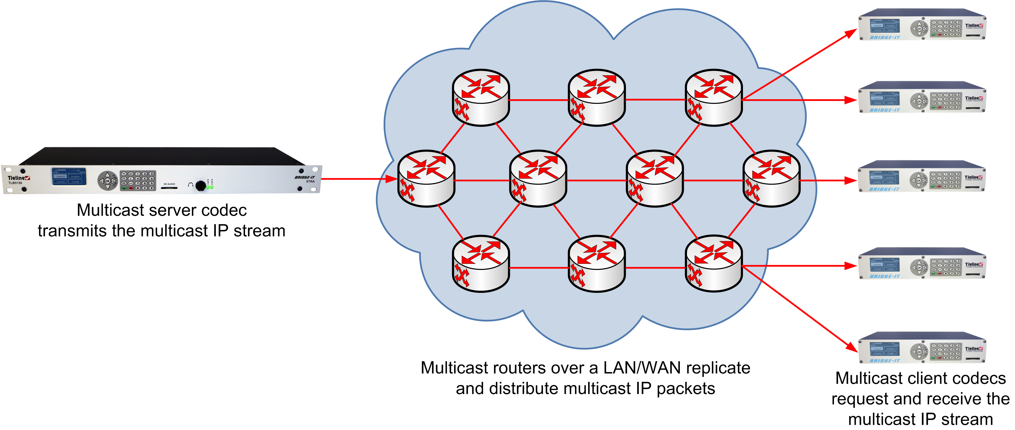 Bridge-IT XTRA Multicast Example v.1.0_20131021
