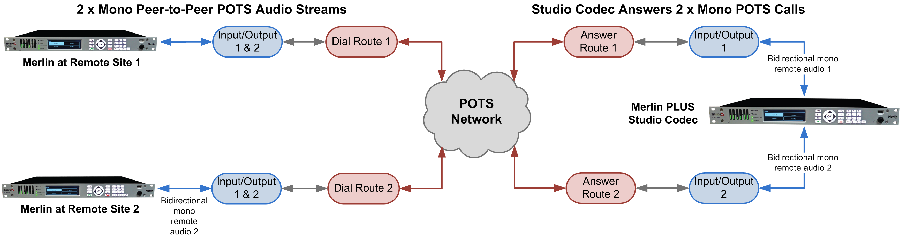 Merlin PLUS - 2 x mono peer-to-peer POTS (reversed) 20141126