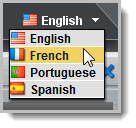 Select Language drop-down