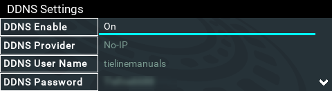 DDNS-Settings