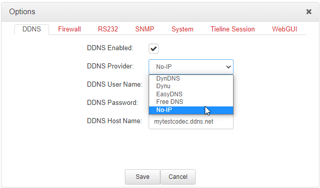 Options_panel-DDNS